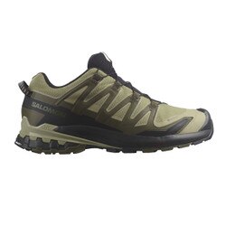 Salomon XA Pro 3D V9 GTX Trail Running Shoe Men's in Dried Herb and Black and Olive Night